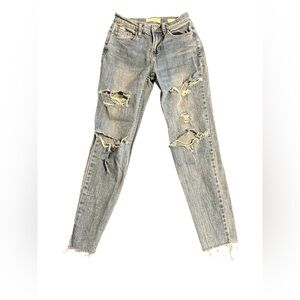 PacSun Vintage Icon Distressed Skinny Jeans